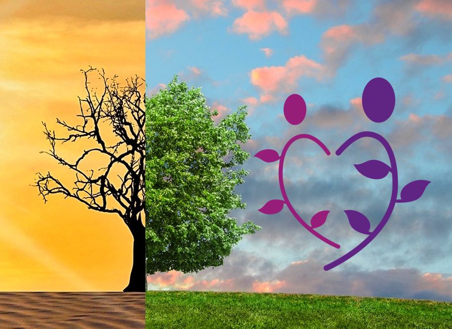 next herstellen van psychologisch misbruik